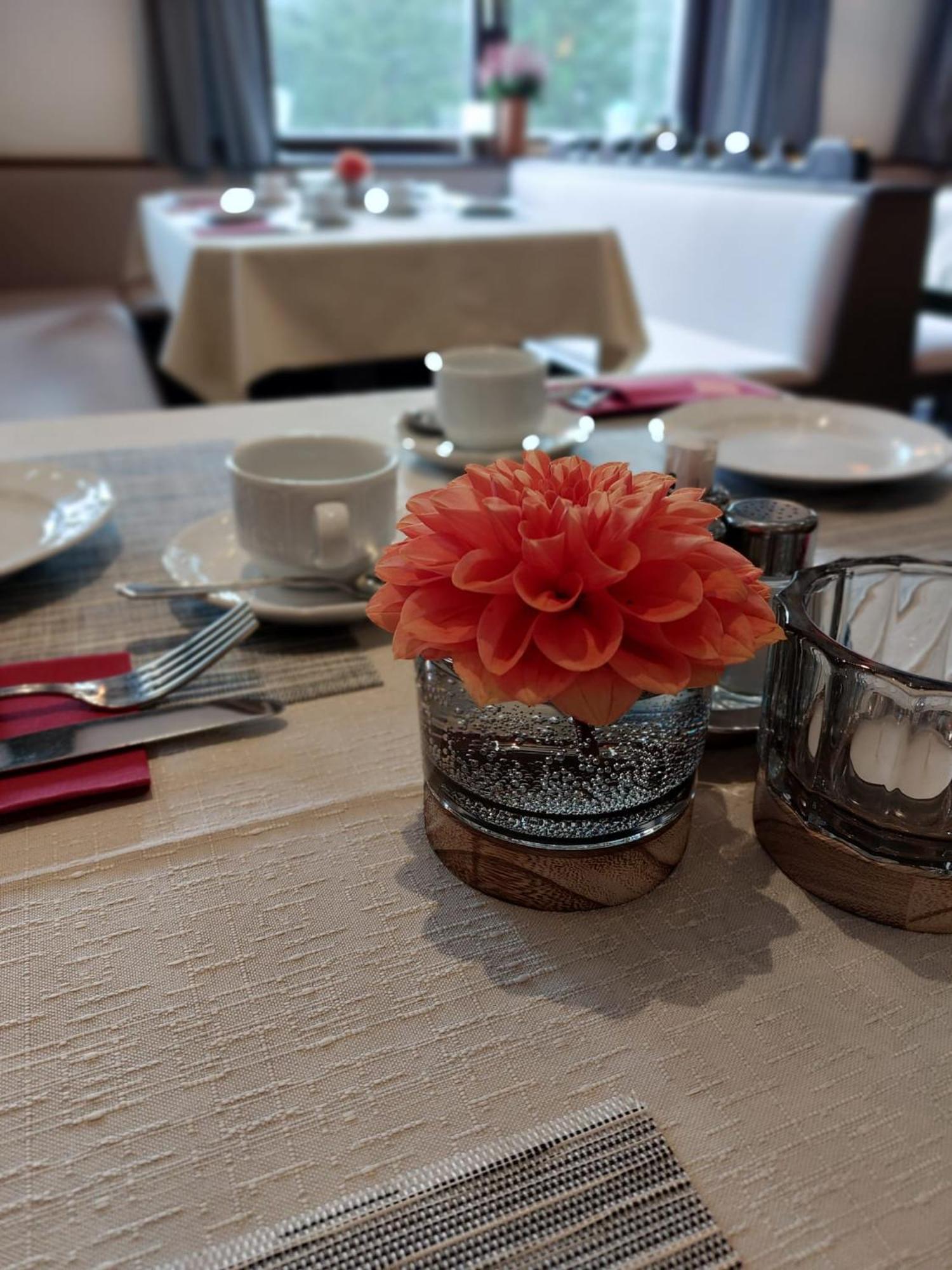 Hotel Draxlerhaus Hohentauern Zewnętrze zdjęcie